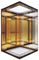 Κατοικημένος ανελκυστήρας του Φούτζι έλξης πολυτέλειας με το σύστημα επεξεργασίας ψηφιακού σήματος