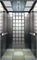 Ανελκυστήρας επιβατών του Φούτζι ασφάλειας/κατοικημένοι ανελκυστήρες επιβατών για τη λεωφόρο αγορών
